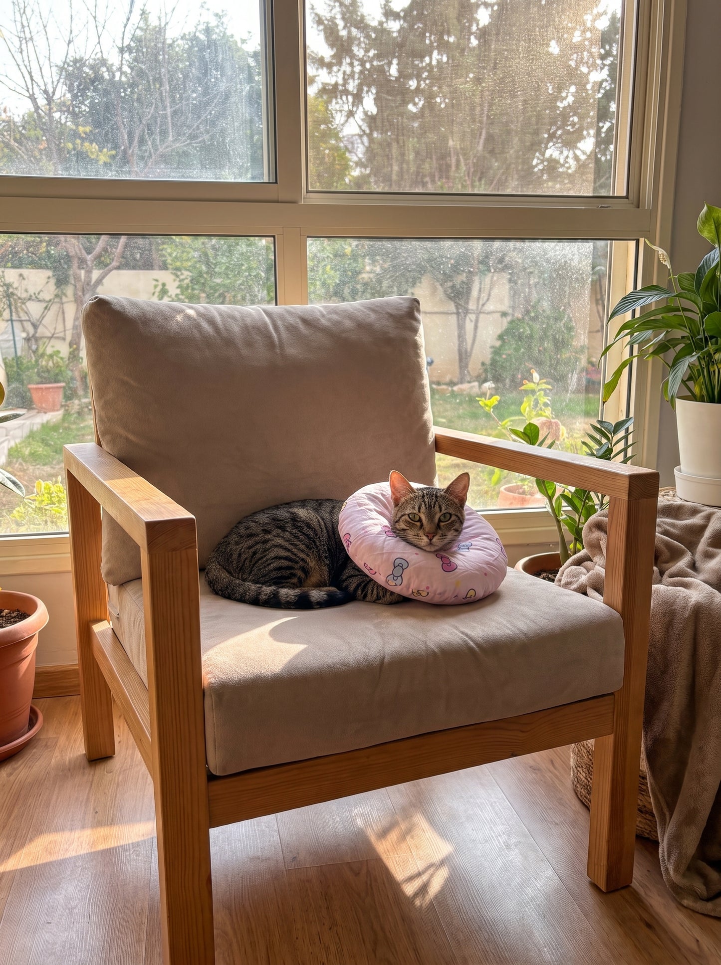 Cat Recovery Pillow | Soft Post-Surgery E-Collar Alternative