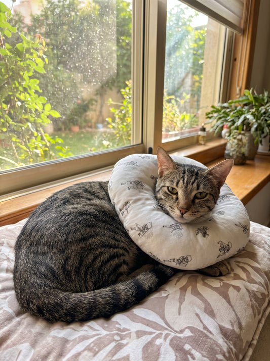 Cat Recovery Pillow | Soft Post-Surgery E-Collar Alternative