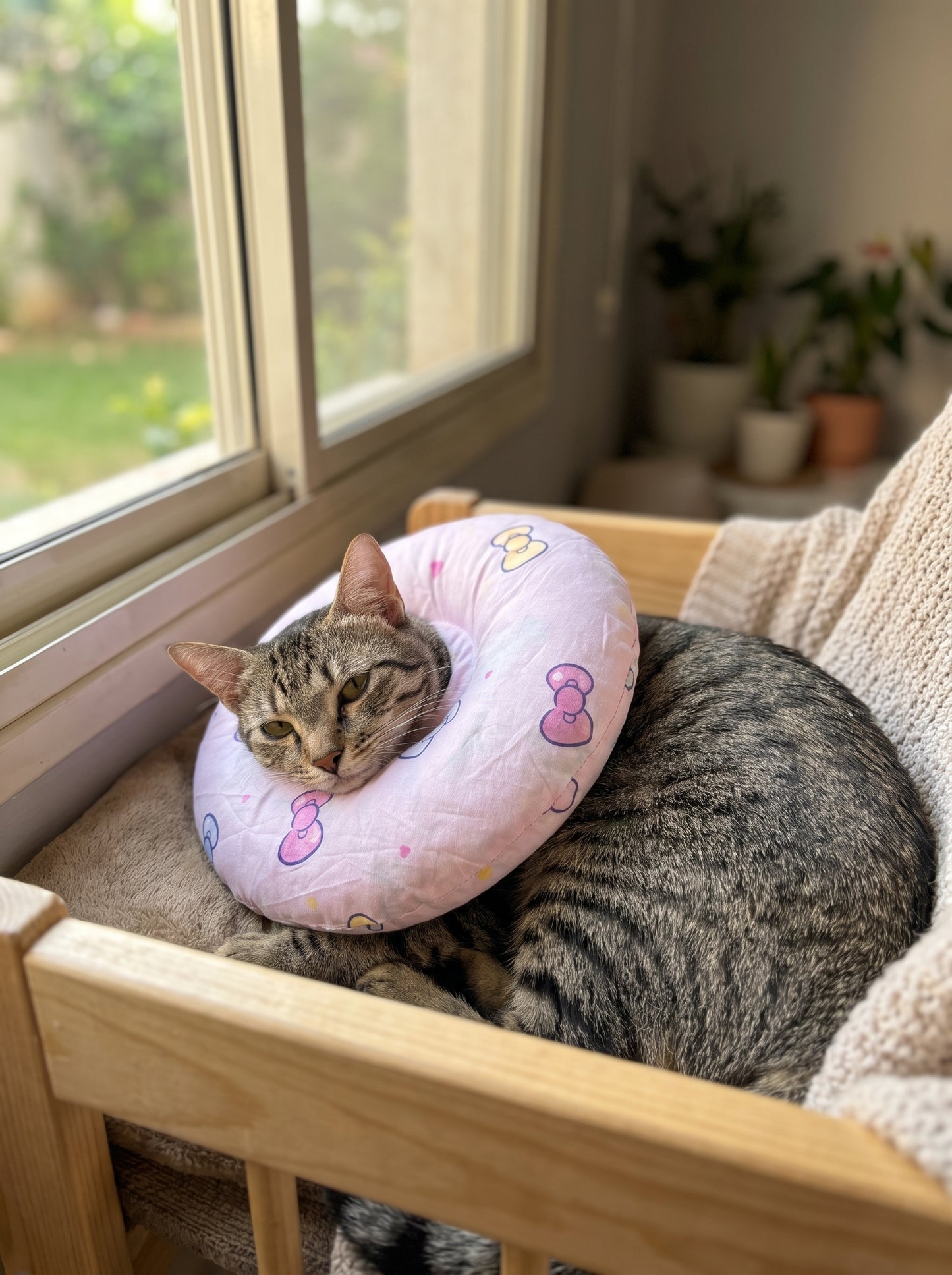 Cat Recovery Pillow | Soft Post-Surgery E-Collar Alternative
