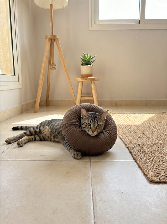 Cat Recovery Pillow | Soft Post-Surgery E-Collar Alternative