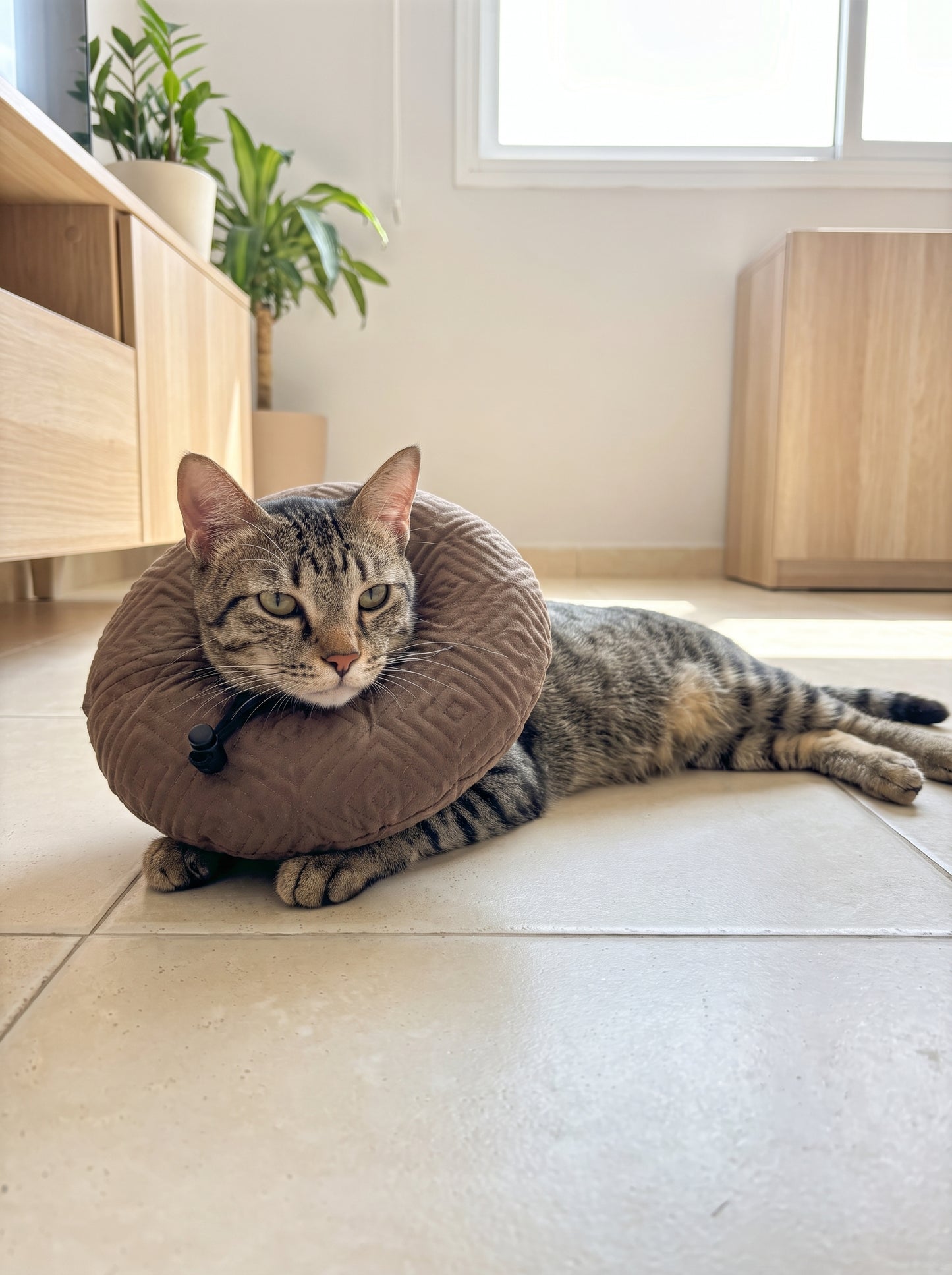 Cat Recovery Pillow | Soft Post-Surgery E-Collar Alternative
